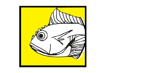 Copia de Beige Animated Skincare Product Instagram Story (600 x 600 px) (Pizarra online) (37)